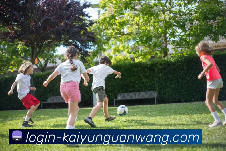 多媒体互动体验