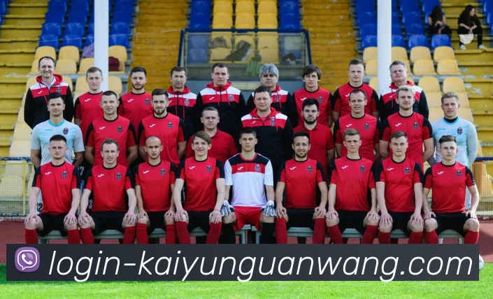 开云APP 高清赛事图